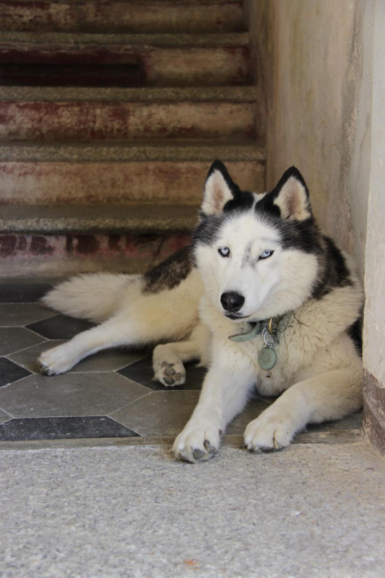 Casa Valduggia Bed & Breakfast Dış mekan fotoğraf